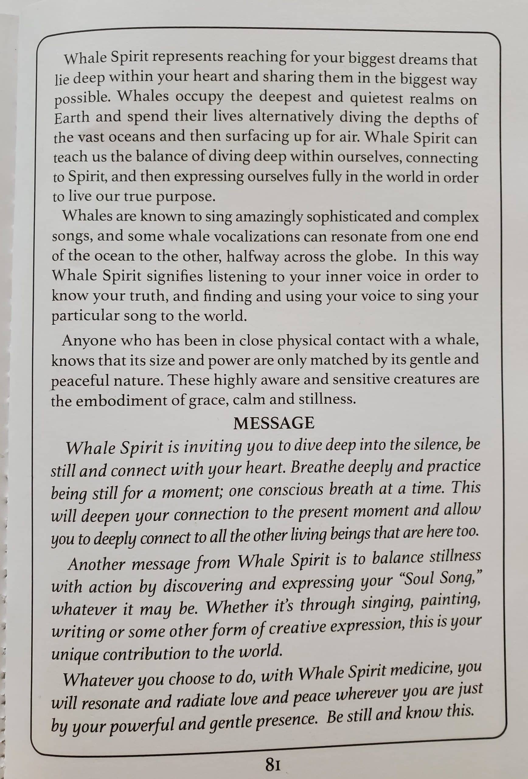 whale spirit write up